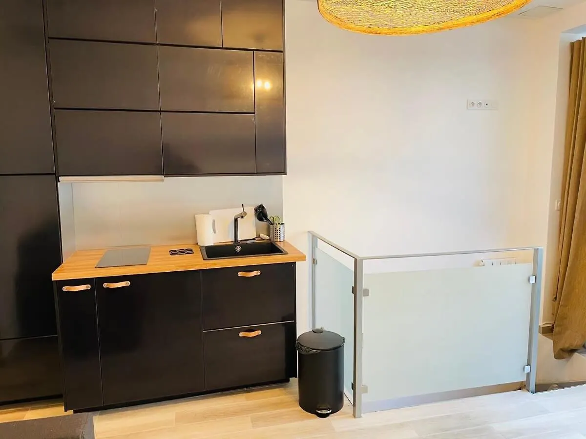Paris Montmartre Sacre Coeur Superb Duplex Apartment